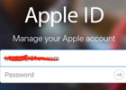 appleid账号格式怎么写？appleid账号忘了怎么办
