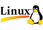 免费国内linux服务器都有哪些，linux服务器有什么用处