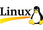 linux常用命令大全新手入门，保姆级linux常用命令合集