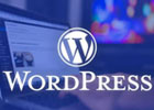 WordPress精选主题有哪些？WordPress国内最好看主题推荐